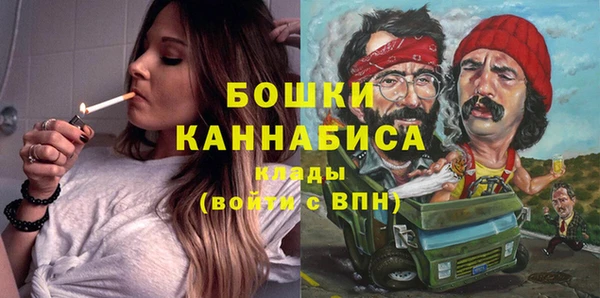 бошки Иннополис