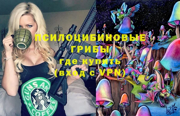 бошки Иннополис