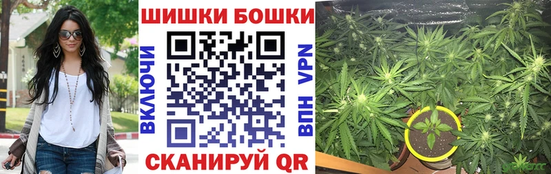 ОМГ ОМГ как войти  наркошоп  Находка  Бошки Шишки SATIVA & INDICA 